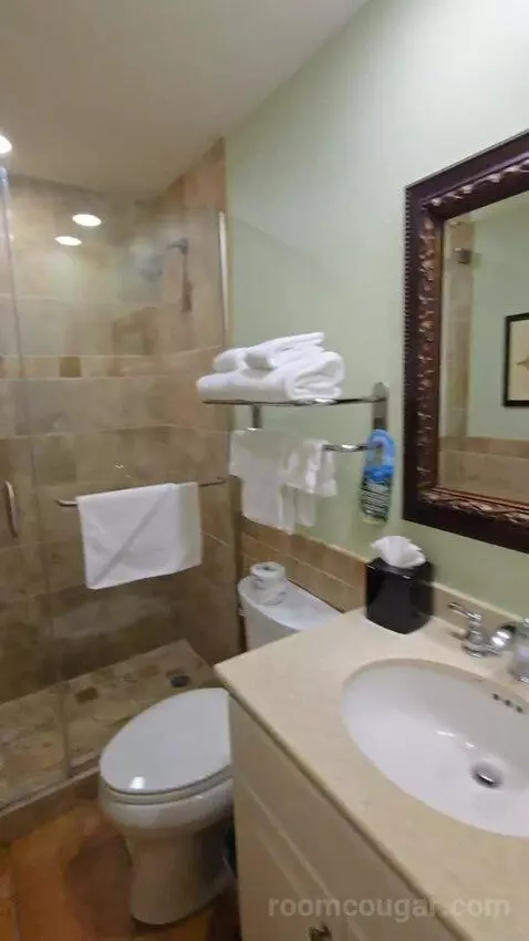 Standard Studio (#41) bathroom picture #11