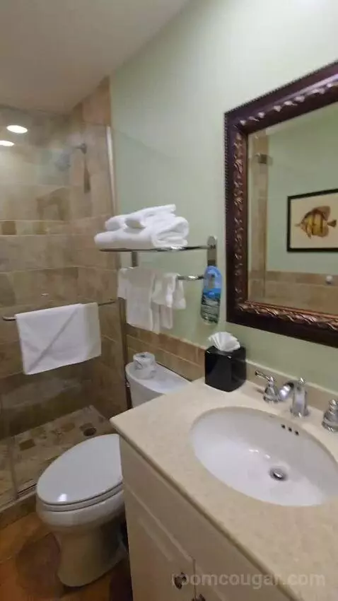 Standard Studio (#41) bathroom picture #12