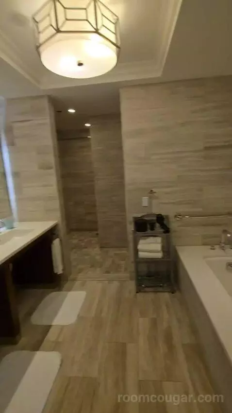 Golden Oak View King - Construction View (#1005) bathroom picture #1