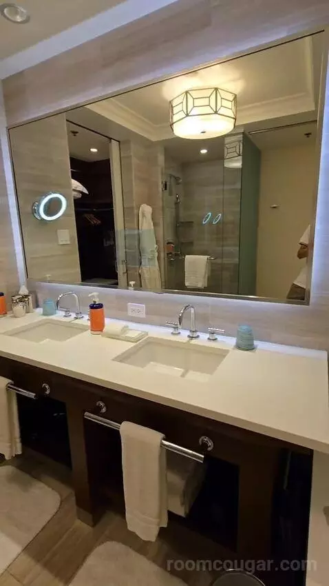 Park View King (#1022) bathroom picture #7
