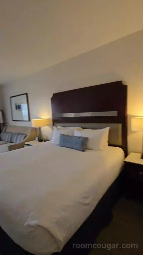 Deluxe King Room with Balcony (#1410) bed picture #3