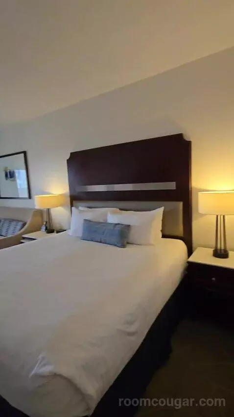 Deluxe King Room with Balcony (#1410) bed picture #4