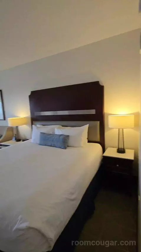 Deluxe King Room with Balcony (#1410) bed picture #5