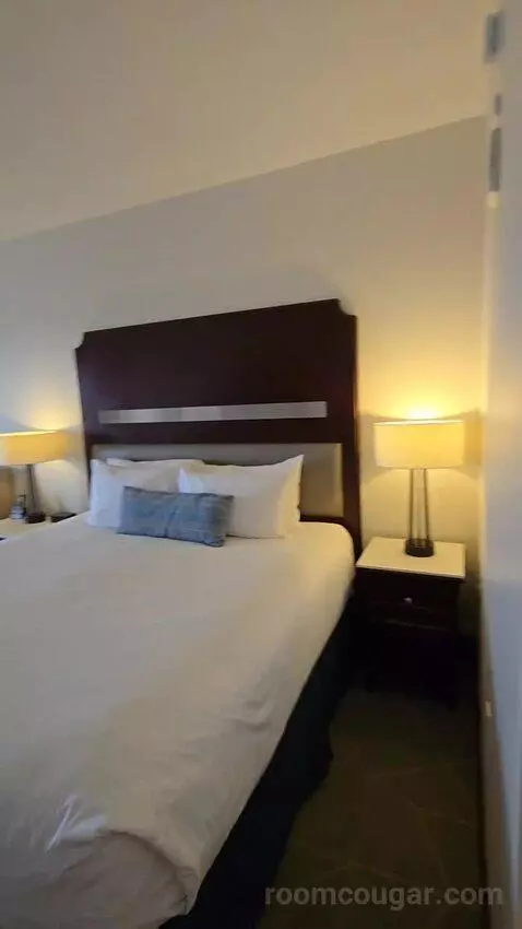 Deluxe King Room with Balcony (#1410) bed picture #6