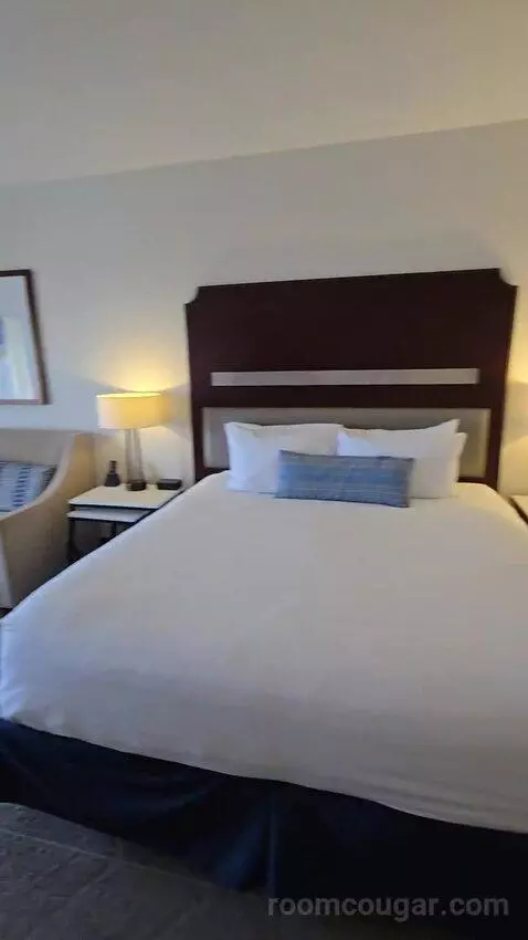 Deluxe King Room with Balcony (#1410) bed picture #7