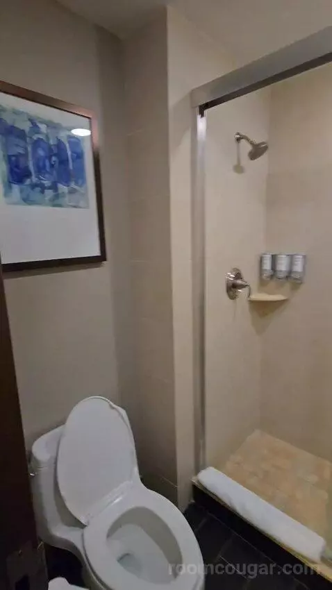 Deluxe King Room with Balcony (#1410) bathroom picture #4