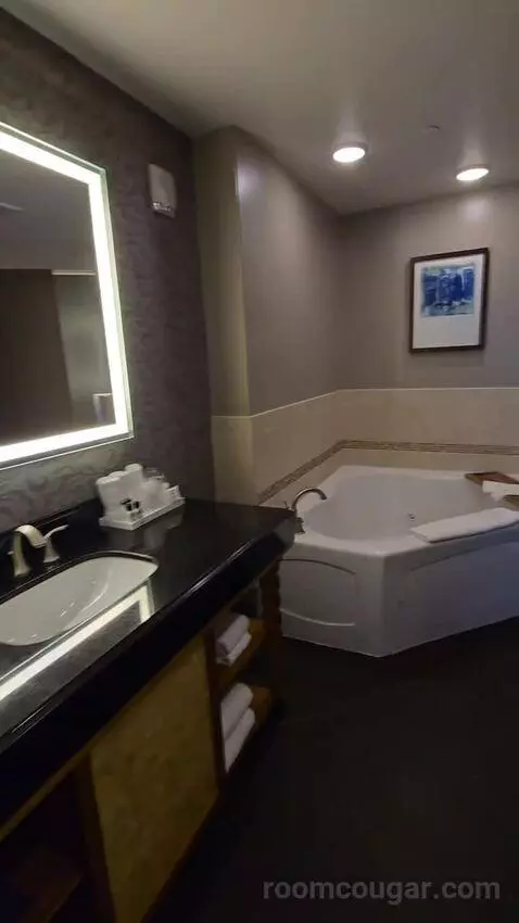 Two-Bedroom Presidential Suite (#1409) bathroom picture #6