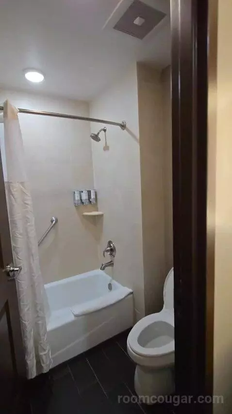 Two Queen Beds - Lake View (#1419) bathroom picture #4