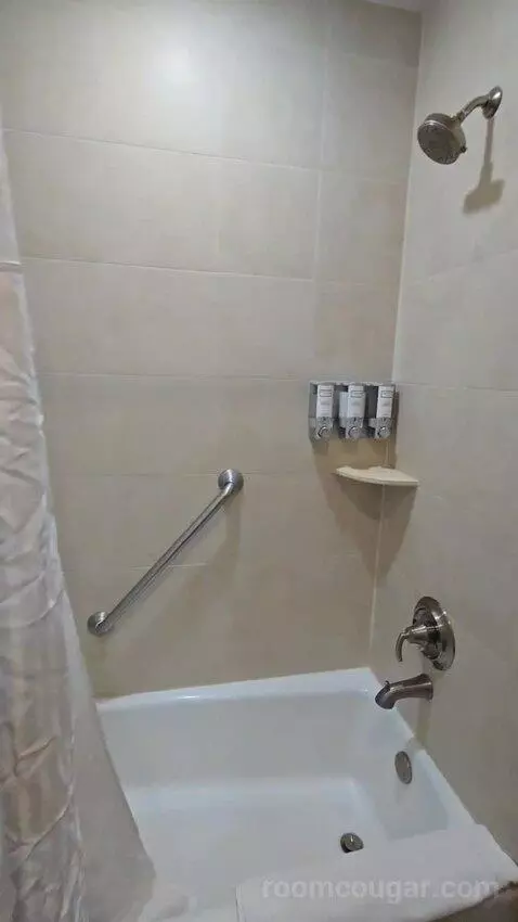 Two Queen Beds - Lake View (#1419) bathroom picture #7
