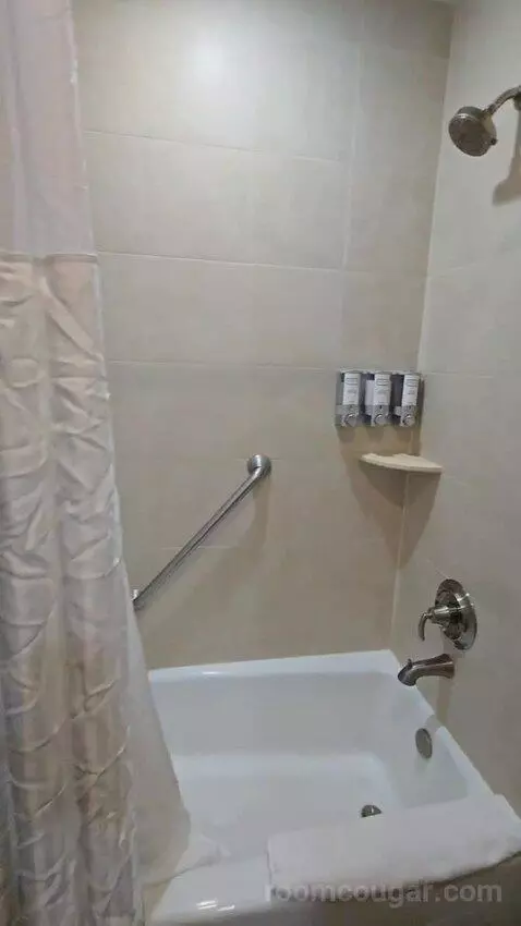 Two Queen Beds - Lake View (#1419) bathroom picture #8