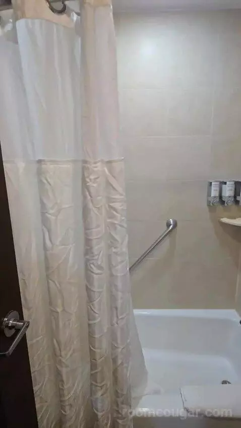 Two Queen Beds - Lake View (#1419) bathroom picture #9