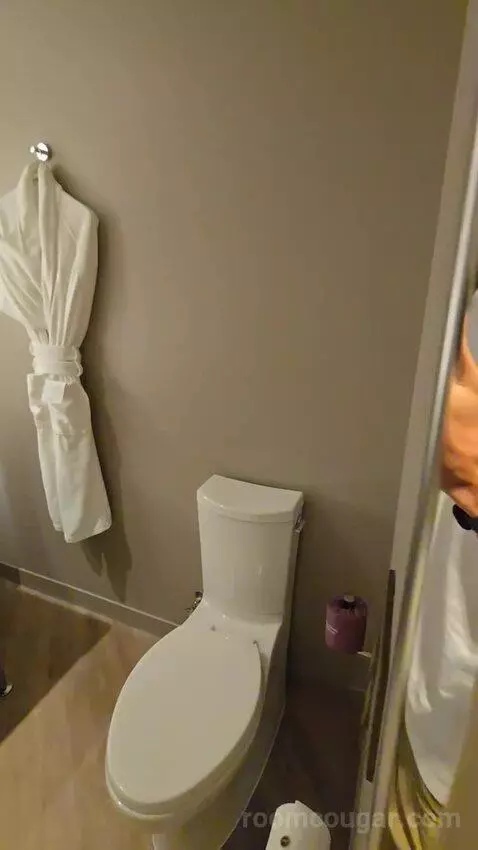 True Queen with Two Queen Beds (No Resort Fee) (#209) bathroom picture #2