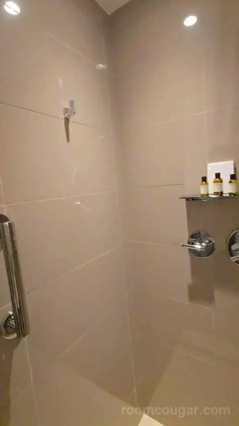True Queen with Two Queen Beds (No Resort Fee) (#209) bathroom picture #5