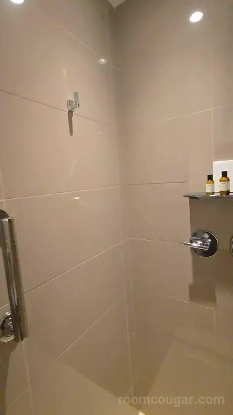 True Queen with Two Queen Beds (No Resort Fee) (#209) bathroom picture #6