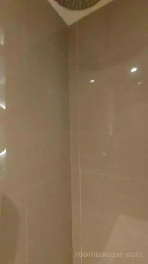 True Queen with Two Queen Beds (No Resort Fee) (#209) bathroom picture #7