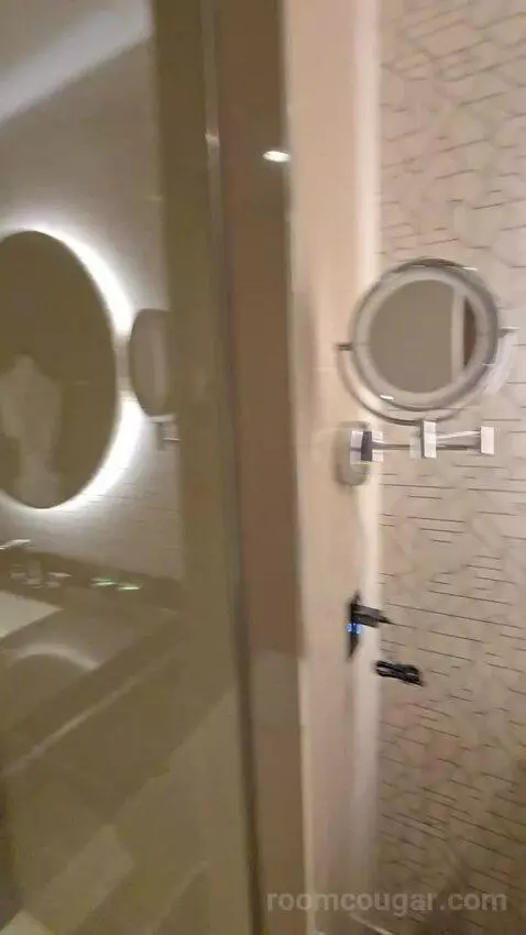 True Queen with Two Queen Beds (No Resort Fee) (#209) bathroom picture #10