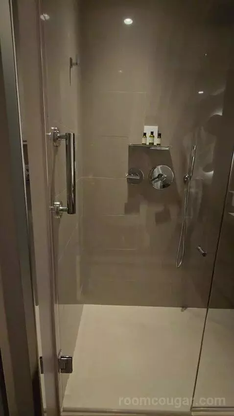 True Queen with Two Queen Beds (No Resort Fee) (#209) bathroom picture #11