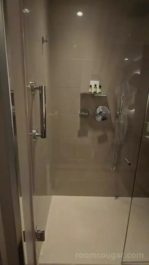 True Queen with Two Queen Beds (No Resort Fee) (#209) bathroom picture #12