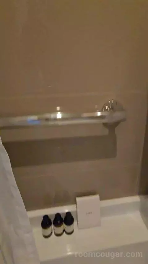 Timeless King Suite (No Resort Fee) (#230) bathroom picture #10
