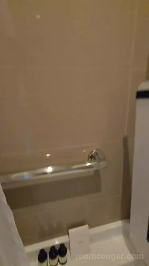 Timeless King Suite (No Resort Fee) (#230) bathroom picture #12
