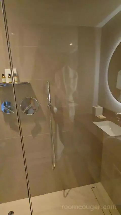 Elegant King (No Resort Fee) (#627) bathroom picture #4