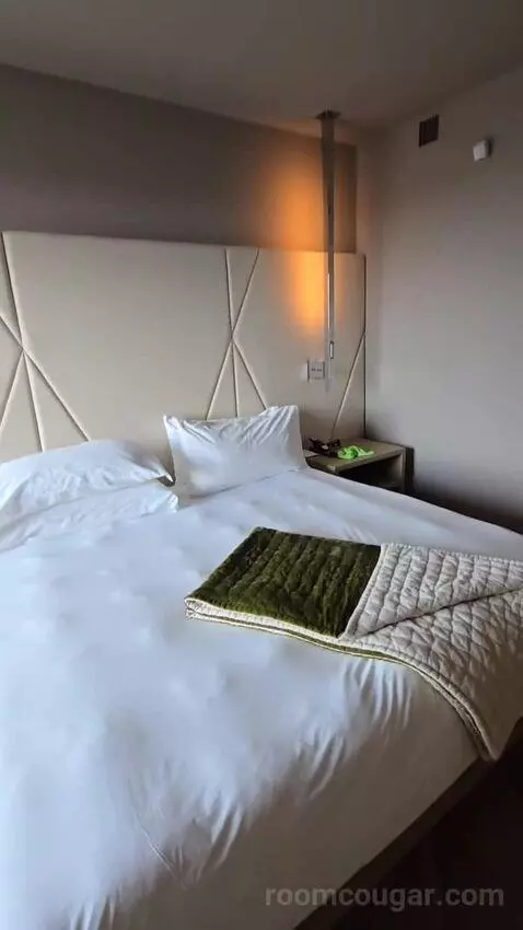 Elegant King (No Resort Fee) (#627) bed picture #7
