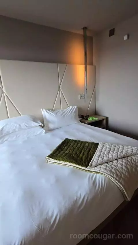 Elegant King (No Resort Fee) (#627) bed picture #8