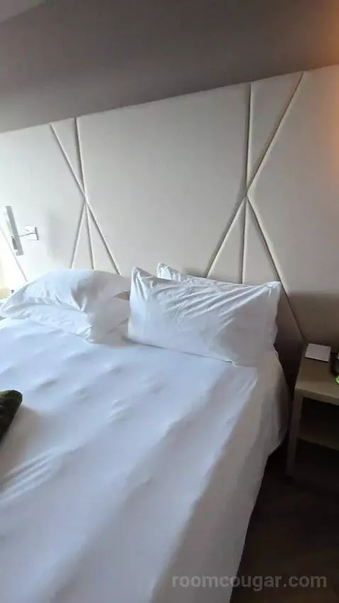 Elegant King (No Resort Fee) (#627) bed picture #10
