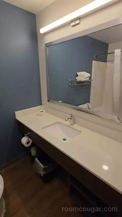 Standard Queen Room bathroom picture #3