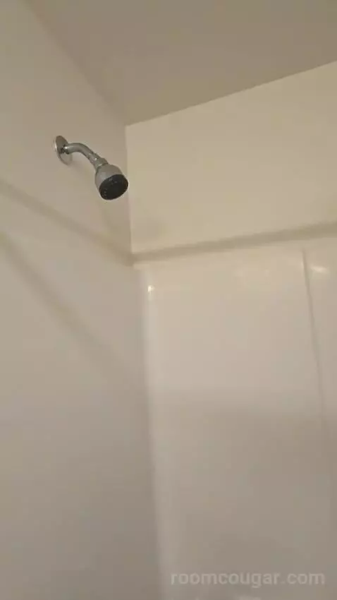 Standard Queen Room bathroom picture #5
