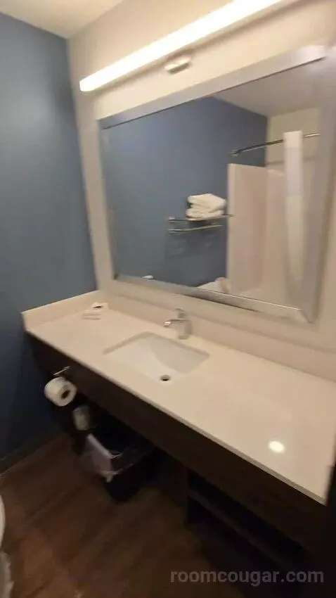 Standard Queen Room bathroom picture #7