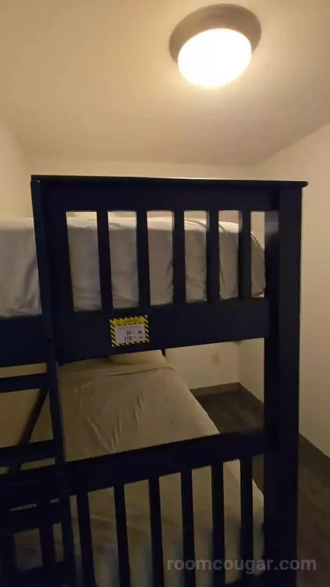 Family Room with Two Queen Beds and Bunk Bed (#119) bed picture #1