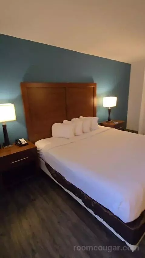King Room with Bunkbed (#100) bed picture #5