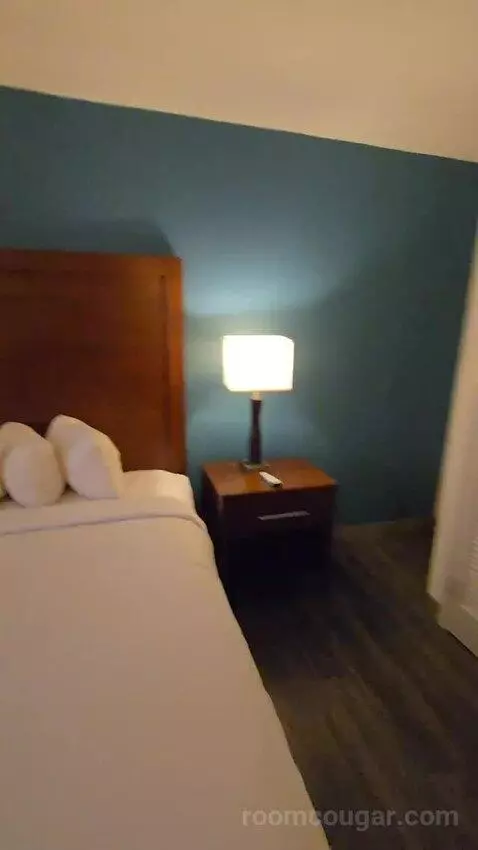 King Room with Bunkbed (#100) bed picture #6
