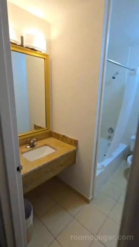 King Room with Bunkbed (#100) bathroom picture #1