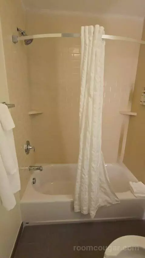 Two-Bedroom Suite (#714) bathroom picture #4