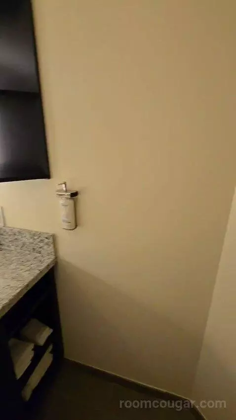 Two-Bedroom Suite (#714) bathroom picture #5