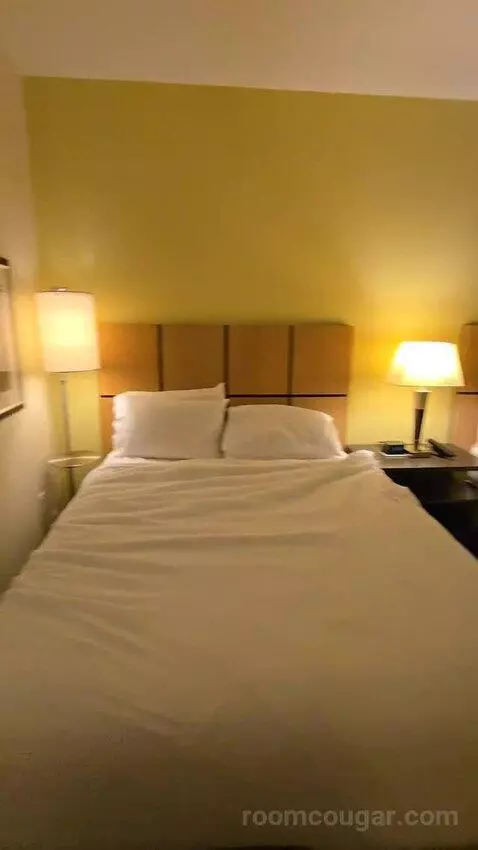 Queen Studio Suite with Two Queen Beds (#430) bed picture #7