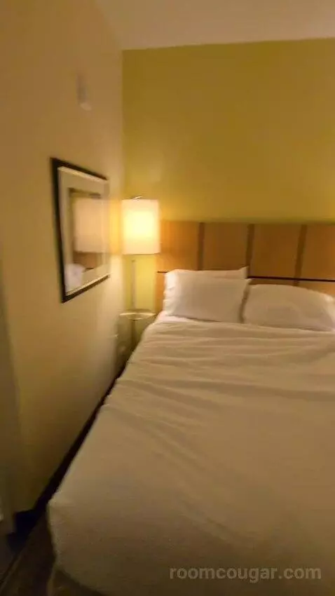 Queen Studio Suite with Two Queen Beds (#430) bed picture #9