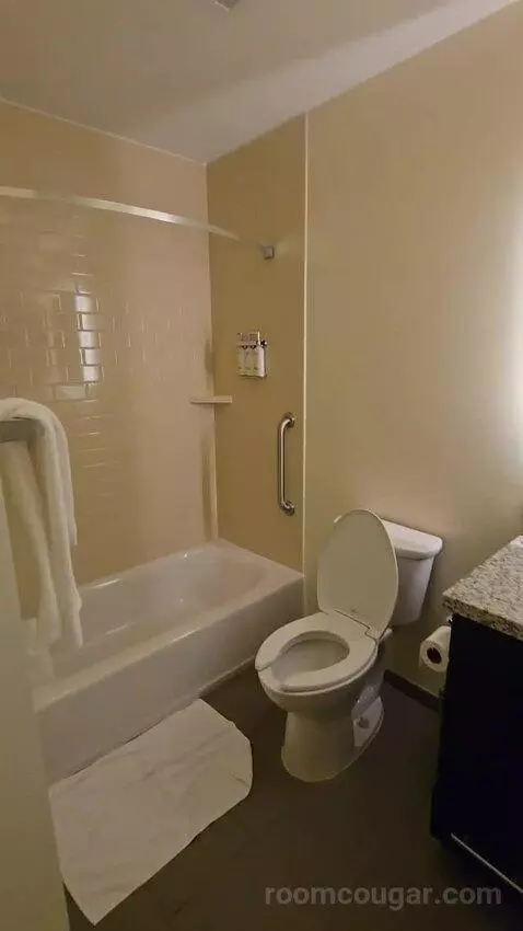 Queen Studio Suite with Two Queen Beds (#430) bathroom picture #1