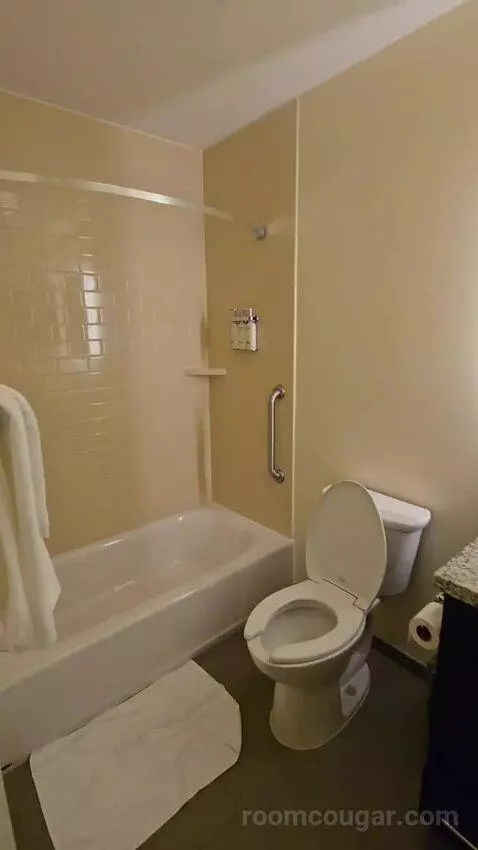 Queen Studio Suite with Two Queen Beds (#430) bathroom picture #2