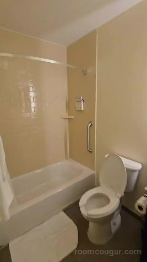 Queen Studio Suite with Two Queen Beds (#430) bathroom picture #3