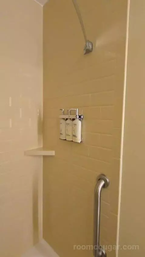 Queen Studio Suite with Two Queen Beds (#430) bathroom picture #5