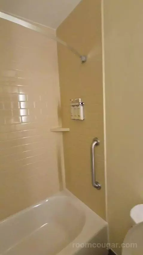 Queen Studio Suite with Two Queen Beds (#430) bathroom picture #8