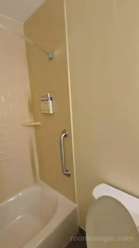 Queen Studio Suite with Two Queen Beds (#430) bathroom picture #9