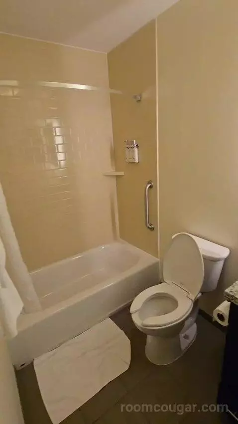Queen Studio Suite with Two Queen Beds (#430) bathroom picture #10