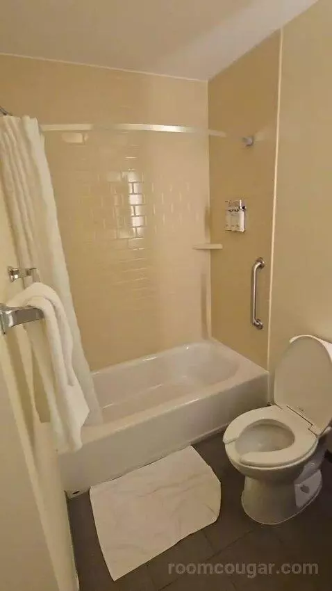 Queen Studio Suite with Two Queen Beds (#430) bathroom picture #12