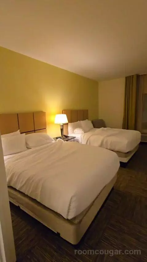 Queen Studio Suite with Two Queen Beds (#430) bed picture #5