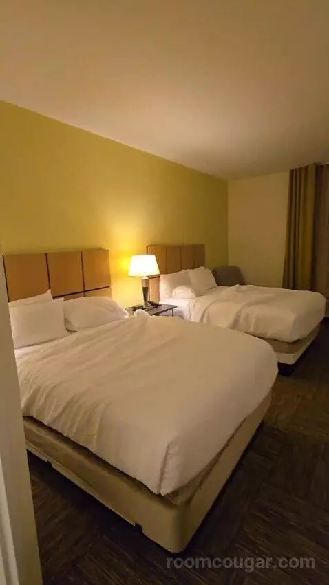 Queen Studio Suite with Two Queen Beds (#430) bed picture #6
