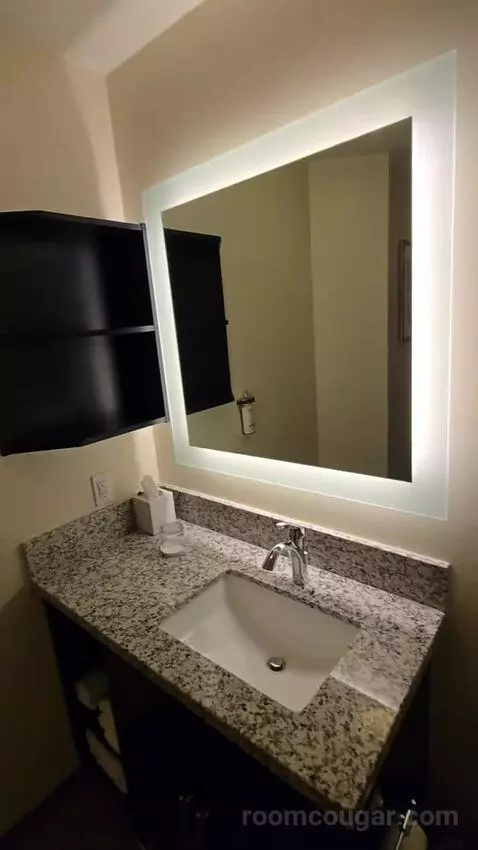 One Bedroom King Suite (#534) bathroom picture #10
